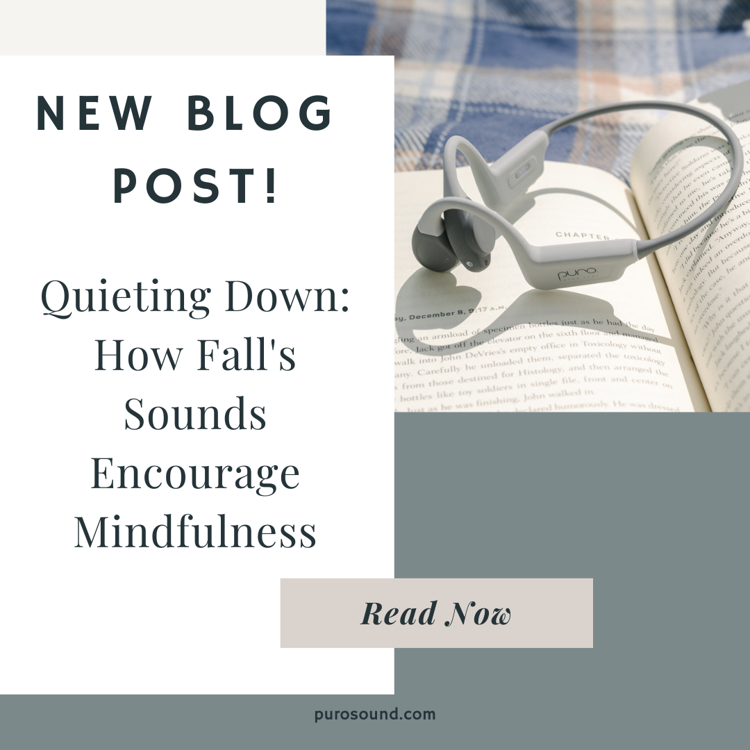 Quieting Down: How Fall's Sounds Encourage Mindfulness