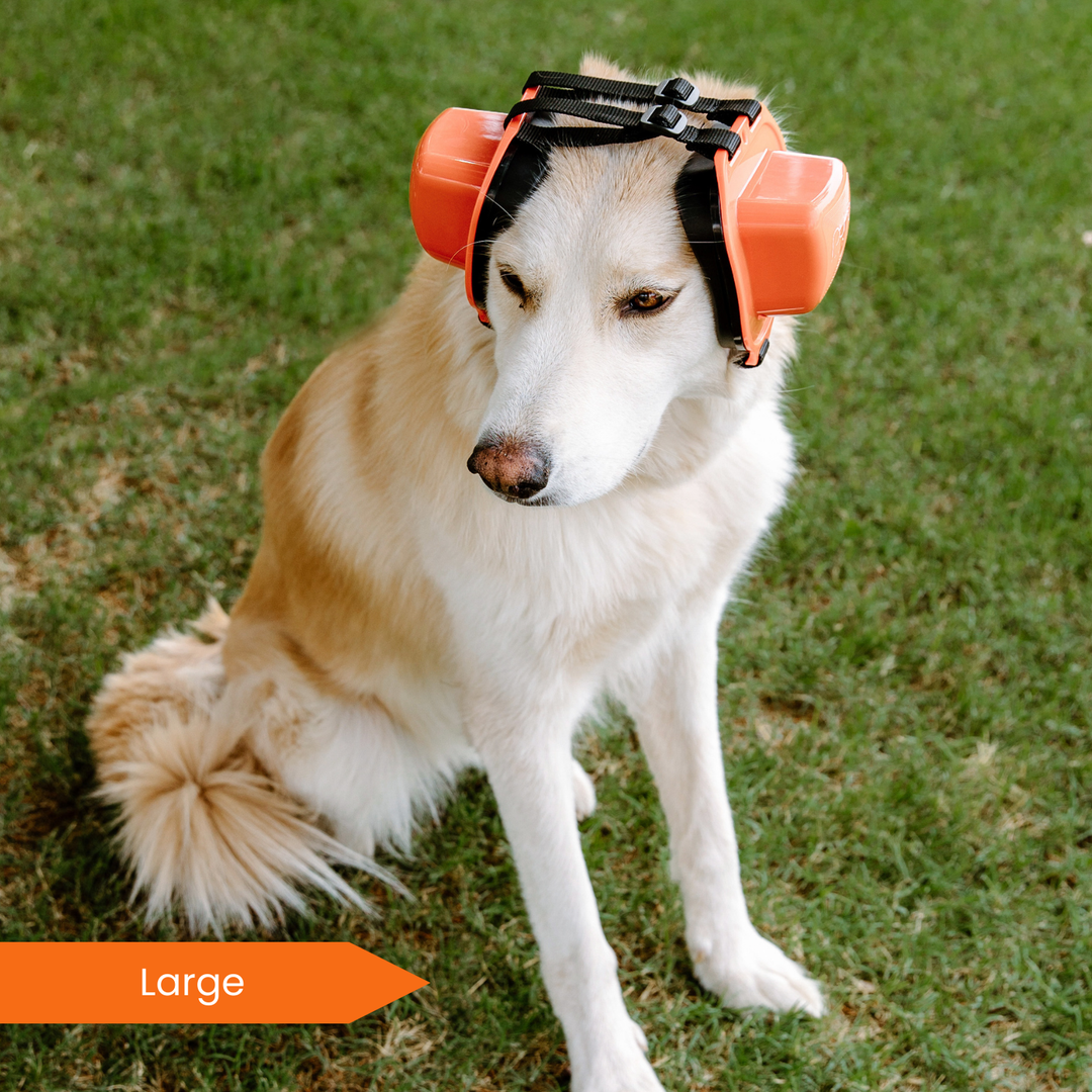 dog goggles and earmuffs PuroPup Dog Earmuffs – Puro Sound Labs