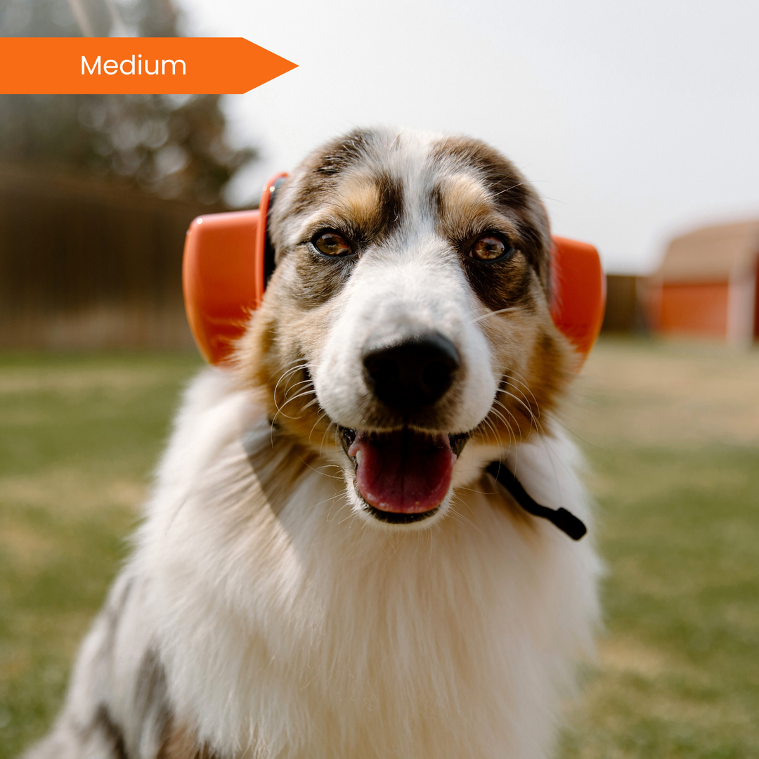 dog goggles and earmuffs PuroPup Dog Earmuffs – Puro Sound Labs