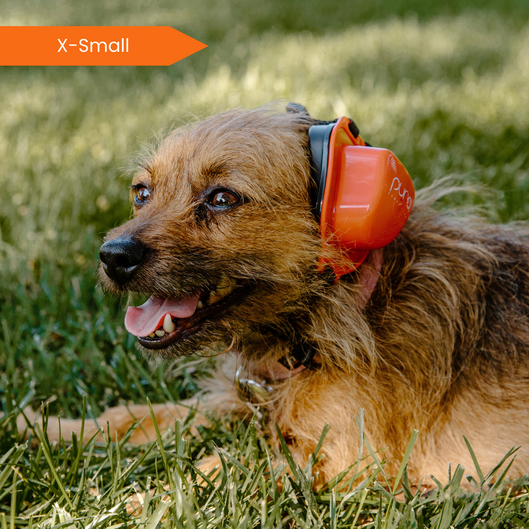 dog goggles and earmuffs PuroPup Dog Earmuffs – Puro Sound Labs